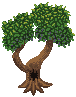 treelol.gif