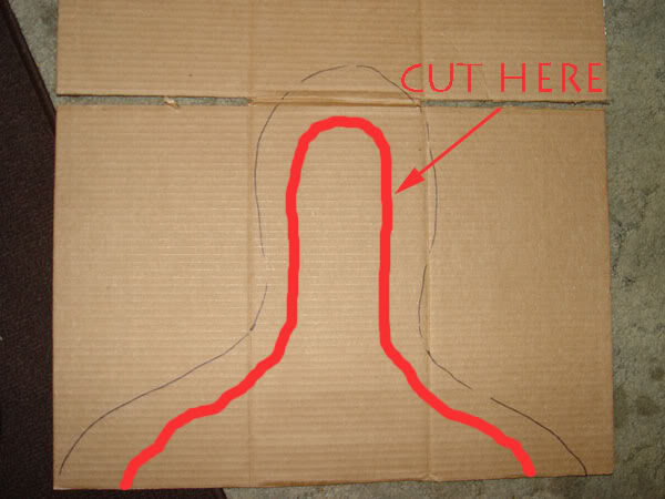 tut11.jpg