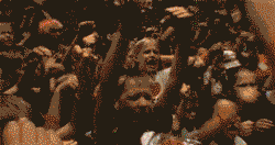 VWoM.gif