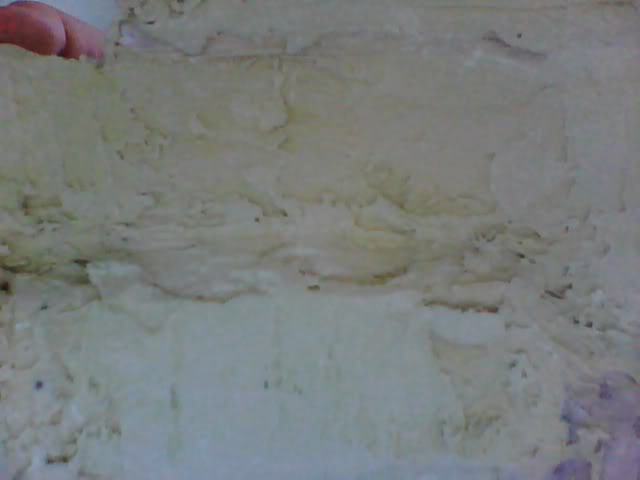 WebCam_20071125_13312.jpg