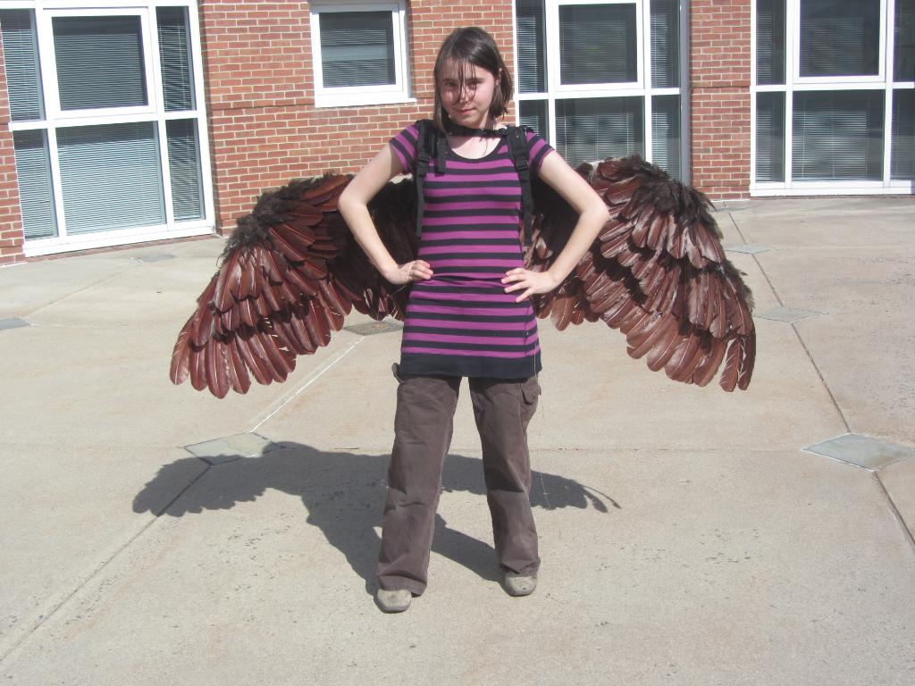 WingsWIP010.jpg