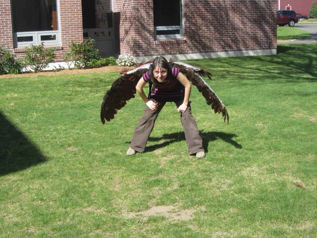 WingsWIP016.jpg
