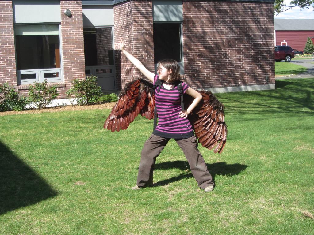 WingsWIP017.jpg