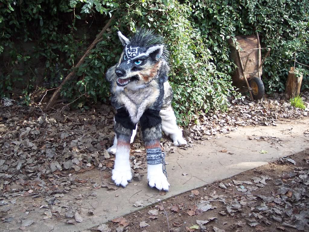 Wolf_Link_Costume_view_1_by_Lilleah.jpg