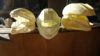 halo_pepakura_helmets_by_rainyfire-db2kuvo.jpg