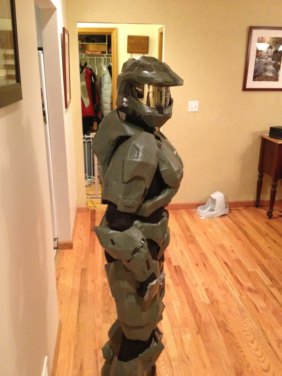 2012 Suit #2 non professional photo