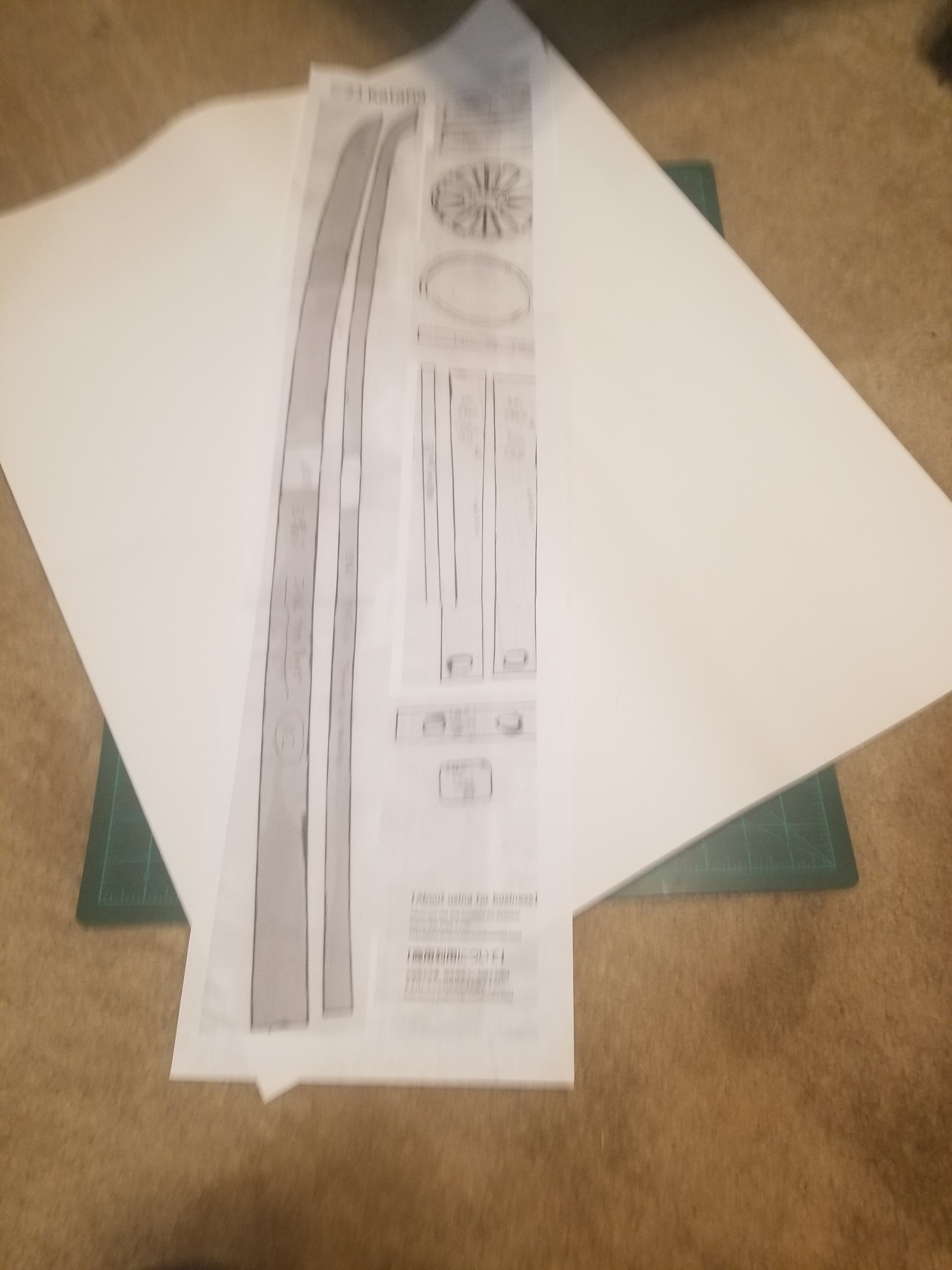 20230324_002314.jpg