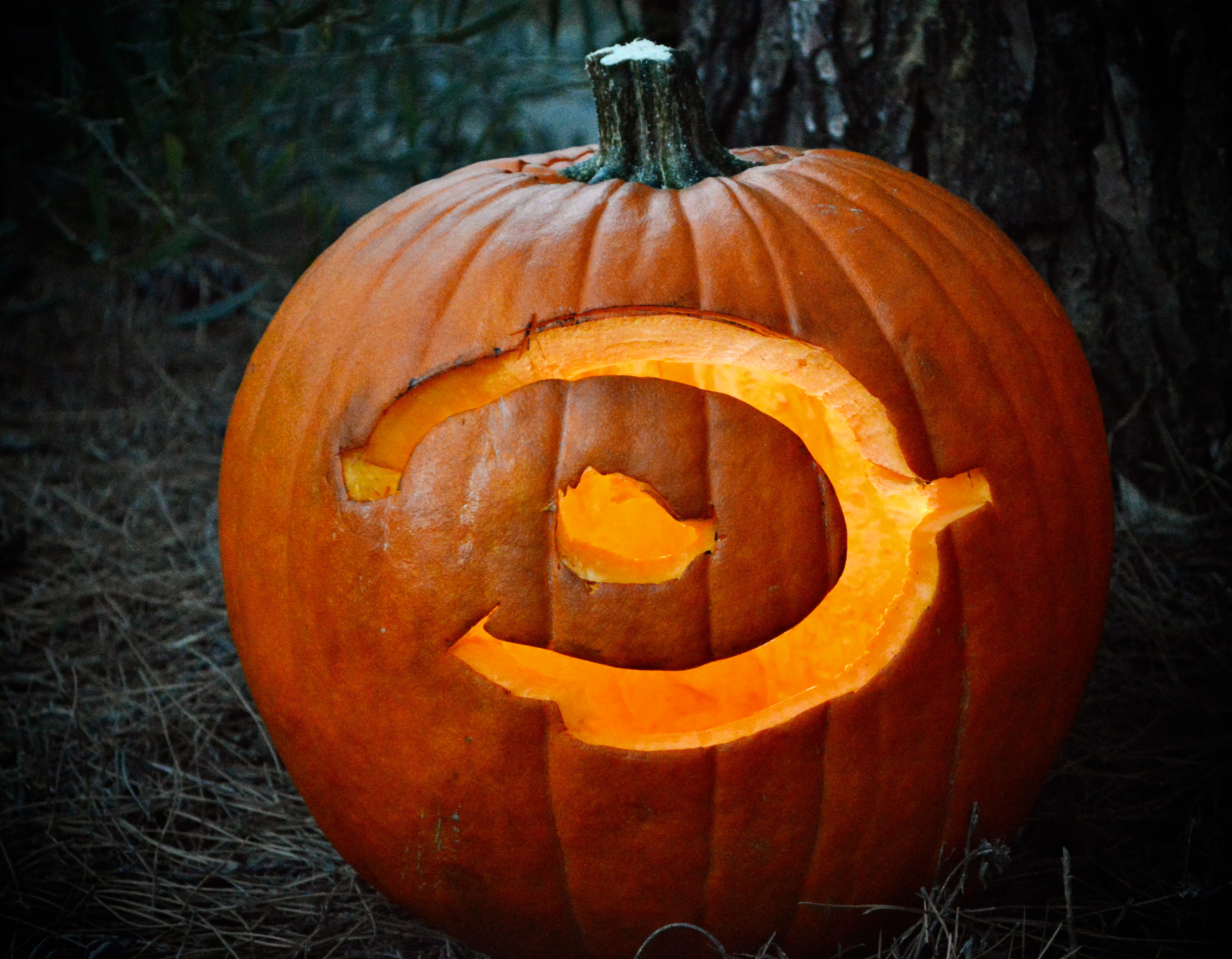 Halo pumpkin :0